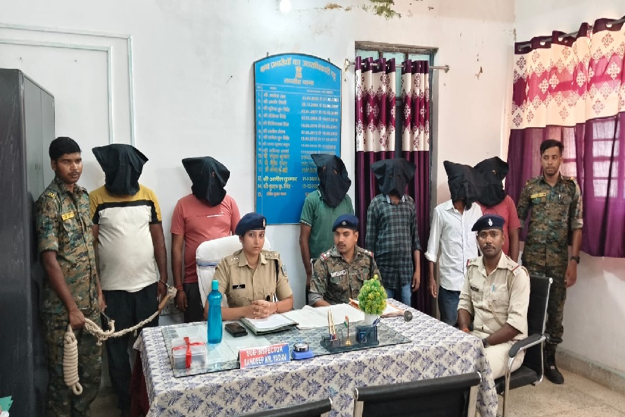 gumla_6_arrest.jpg