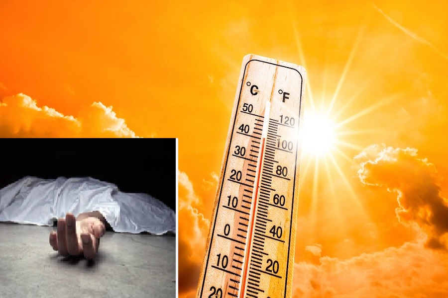 heatwave_death.jpg