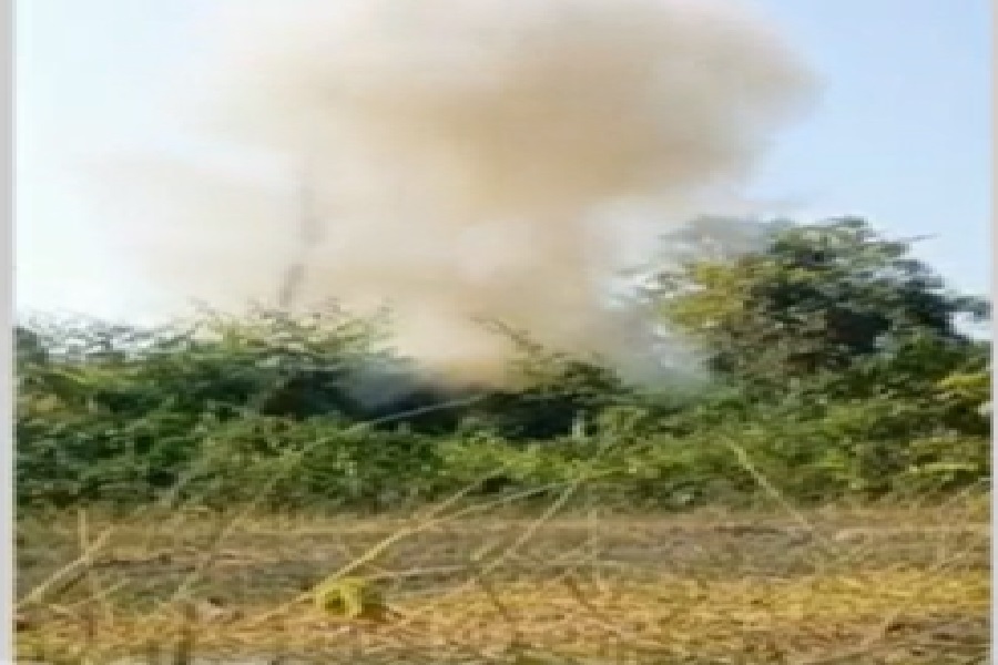 ied4.jpg