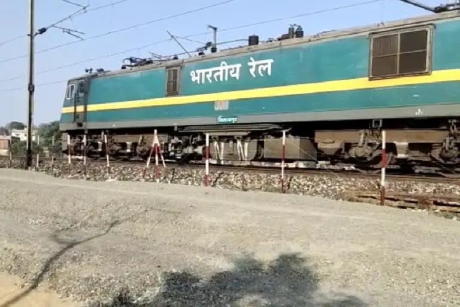 indian_rail.jpg