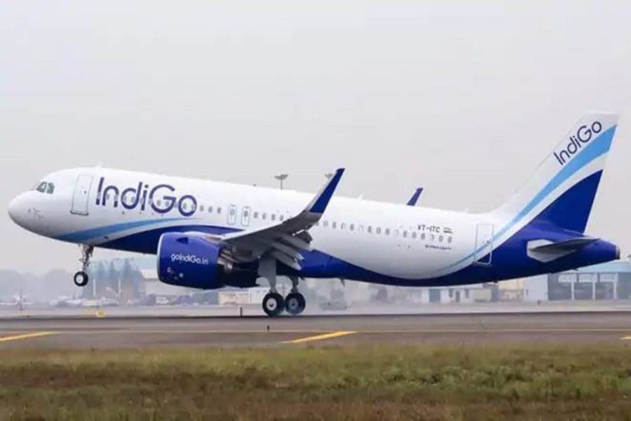 indigo.jpg