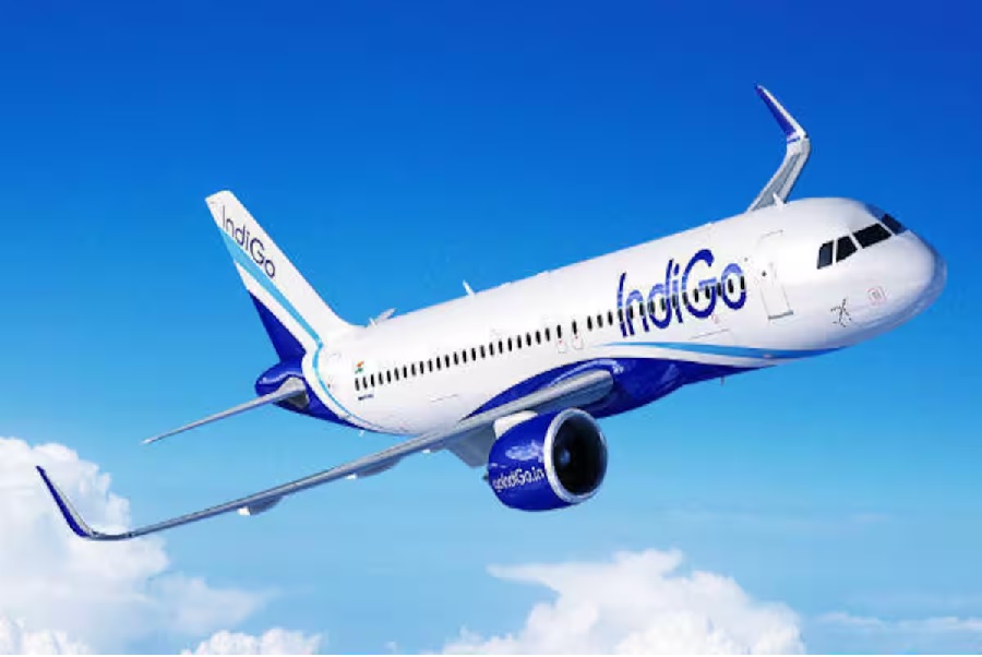 indigo11.jpg