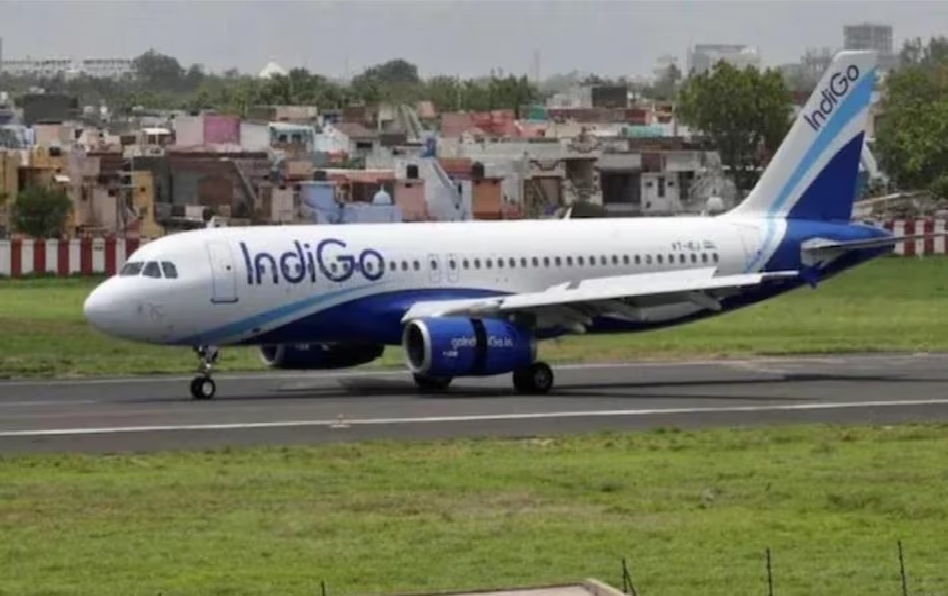 indigo3.jpg