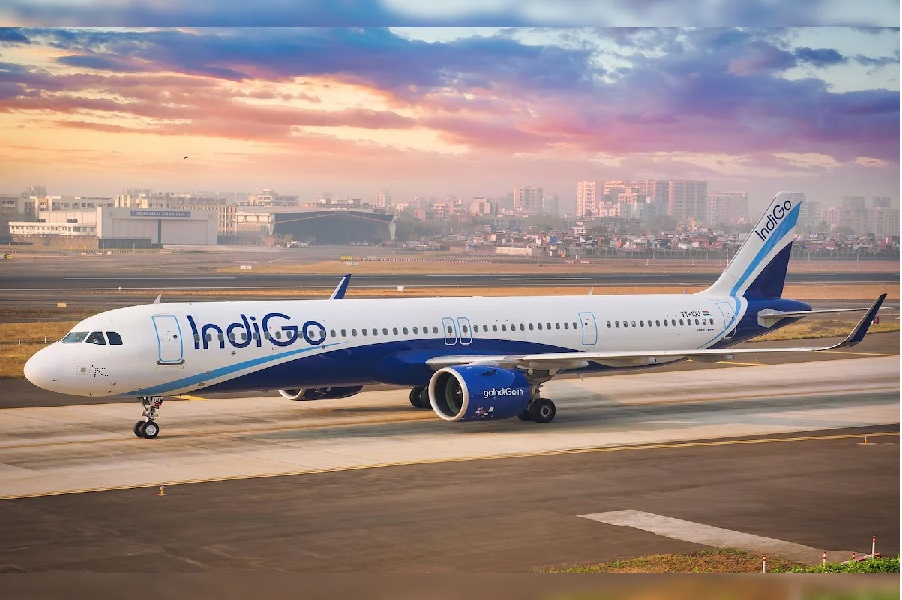 indigo4.jpg