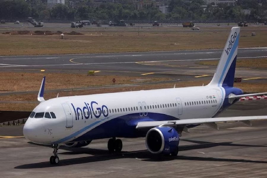 indigo7.jpg