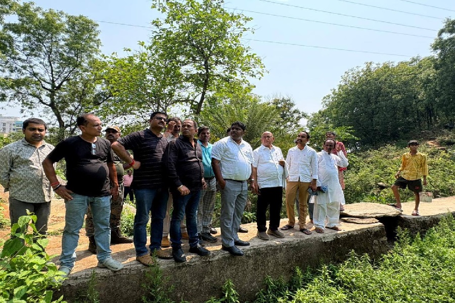 jamshedpur_dalma_saryu_roy.jpg