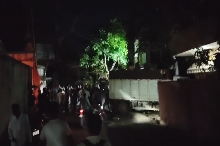kapali_cow_smuggling.jpg