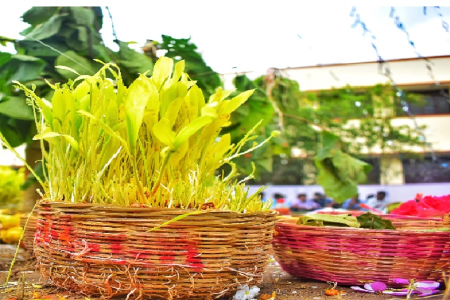 कर्मा पूजा के दिन भाई ने बहन को मारी गोली, फिर खुद भी दी जान