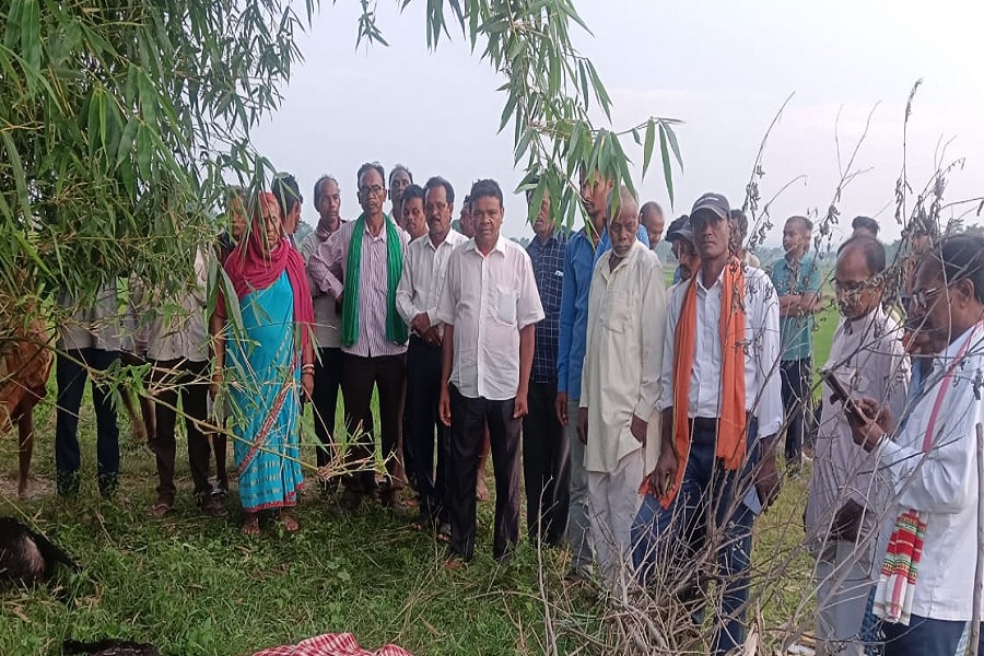 वज्रपात से महिला की मौत, बकरी चराने के दौरान गिरी बिजली; 3 मवेशी भी मरे 