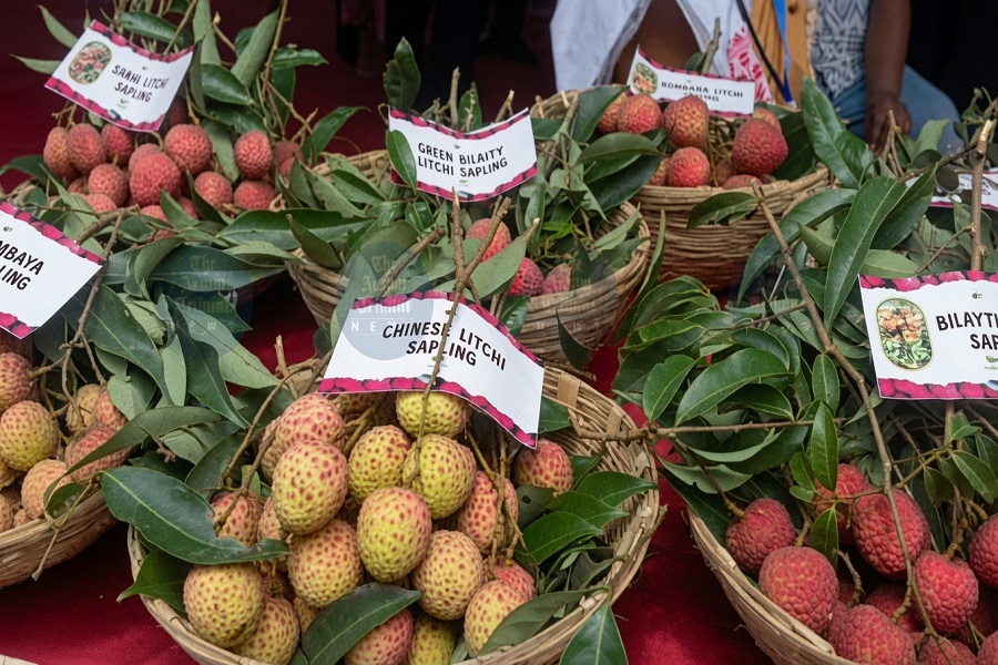 lichi.jpg
