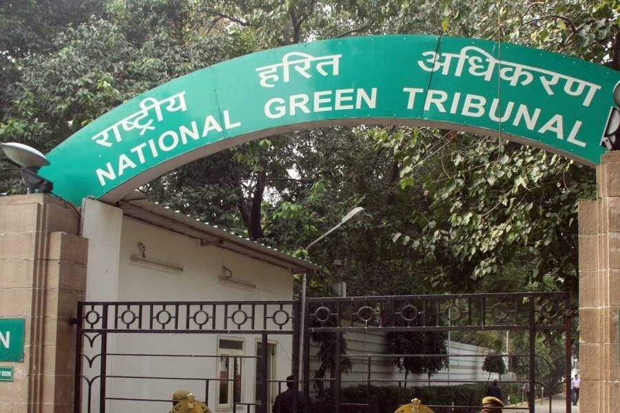 चंपावत के जंगलों में आग को लेकर NGT गंभीर, सरकार को दिया जरूरी निर्देश