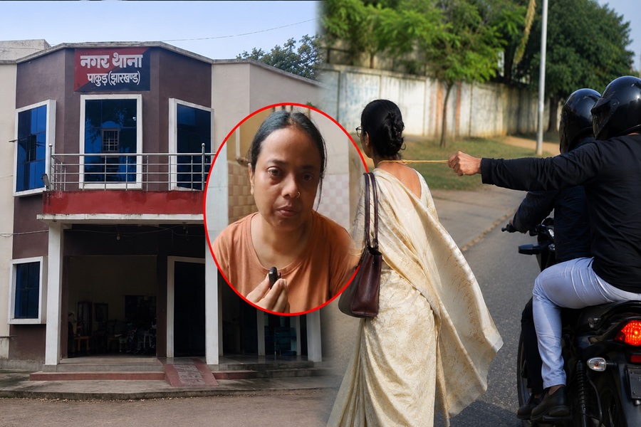 pakur14.jpg