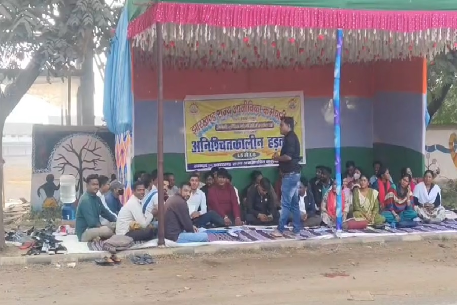 pakur__.jpg