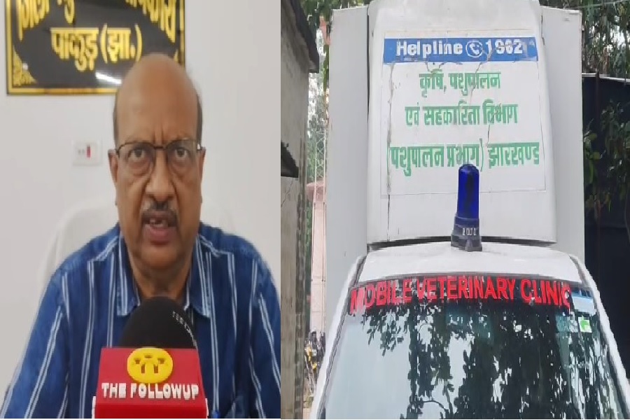 pakur_doctor_.jpg