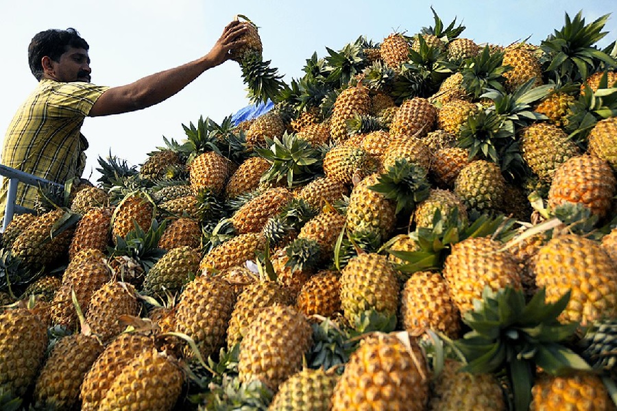 pineapple.jpg
