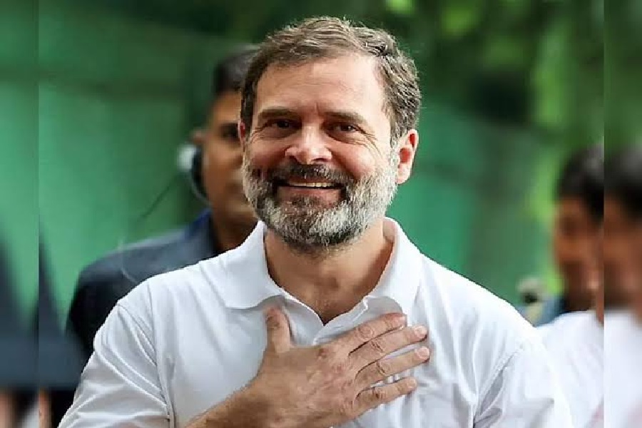 rahul_gandhi_pic3.jpg