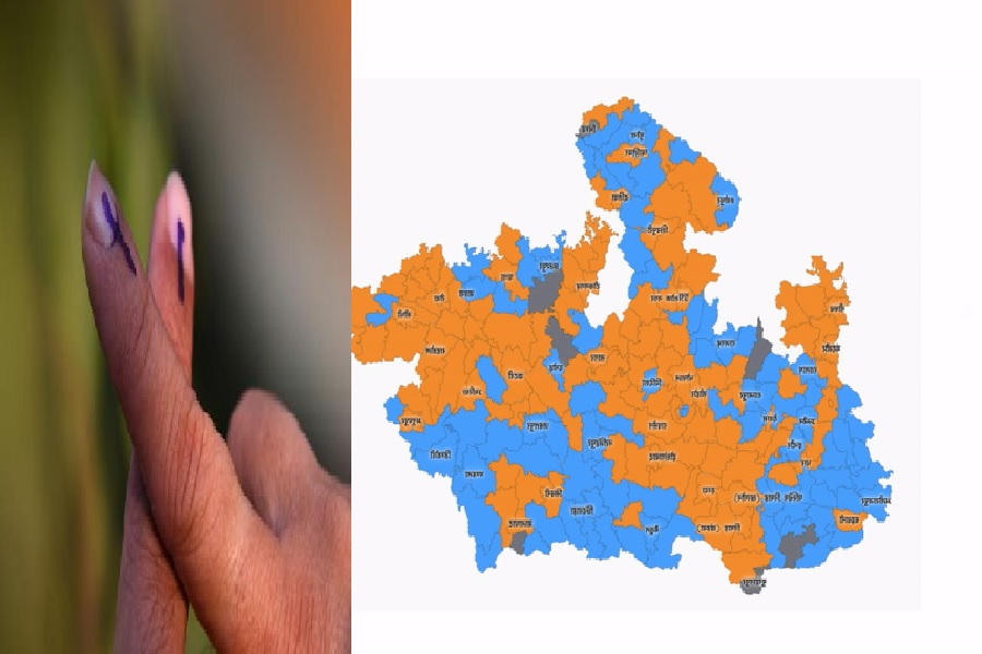 result1.jpg