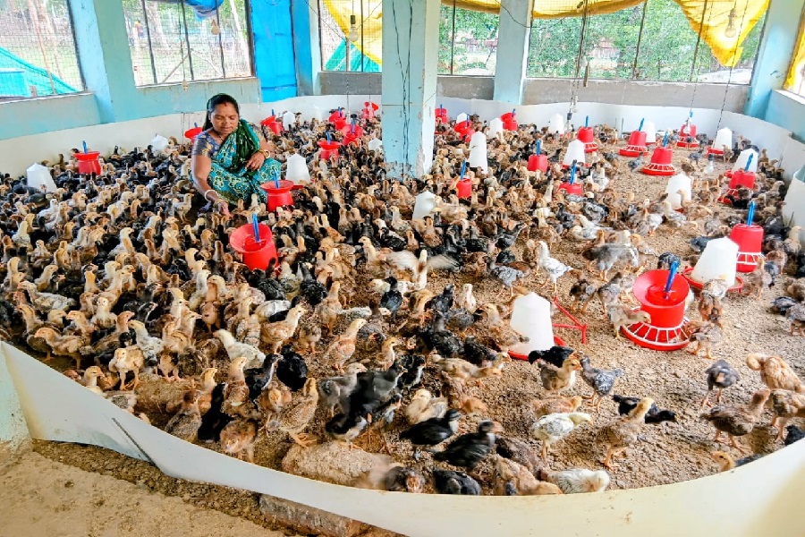 simdega_farm.jpg