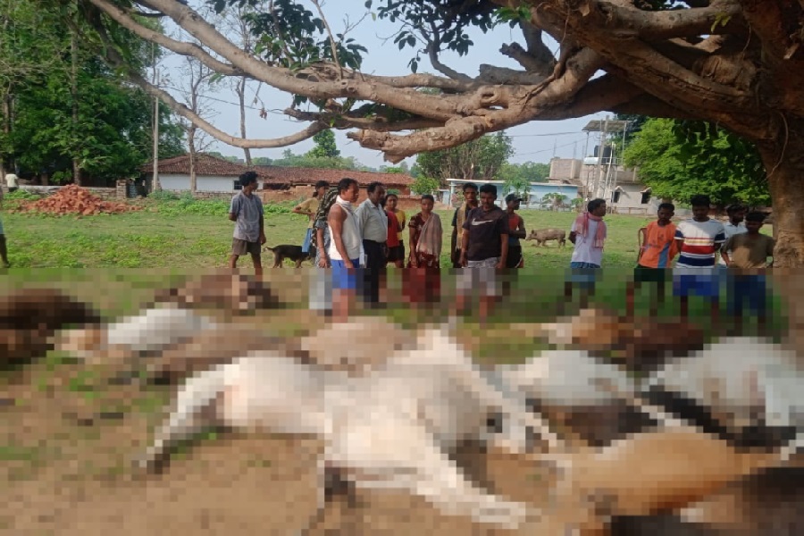 simdega_maveshi_maut.jpg