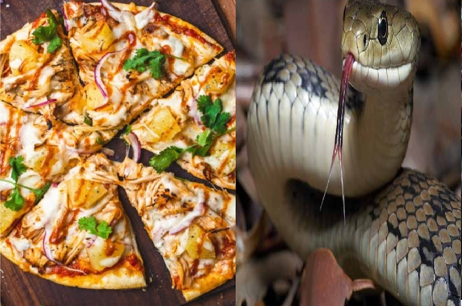 snake_pizza.jpg