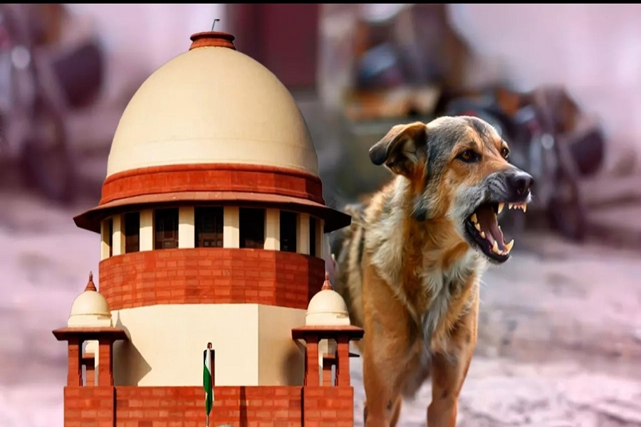 supremecourt7.jpg