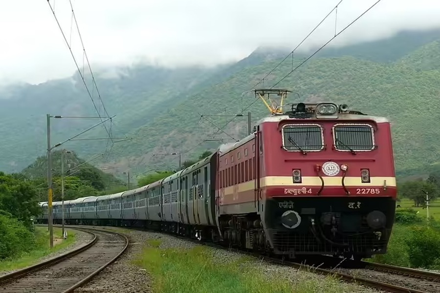 train40.jpg