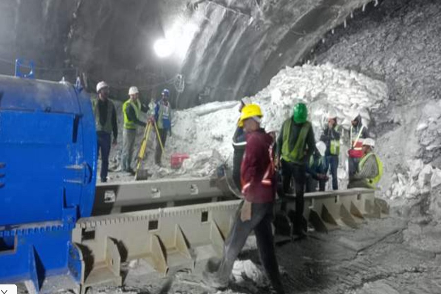 tunal2.jpg