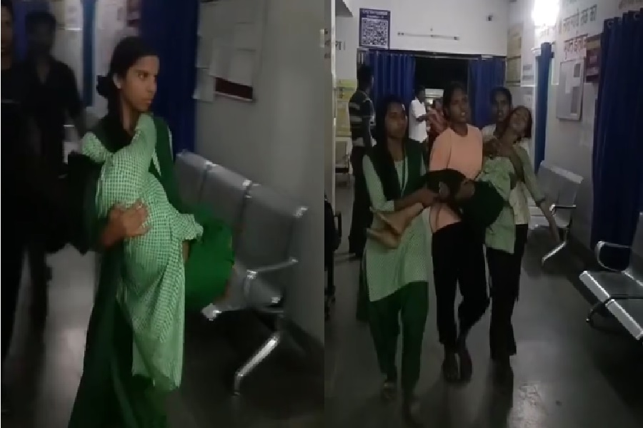 कोेूही.jpg