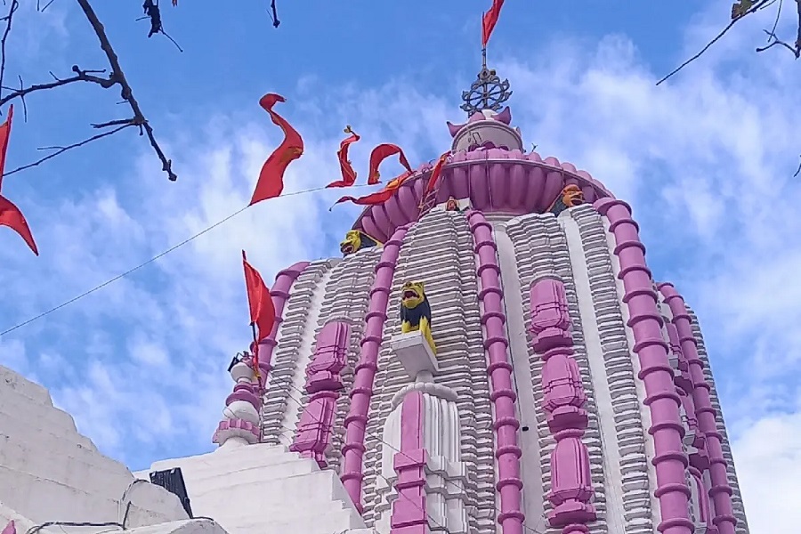 जगलक1.jpg