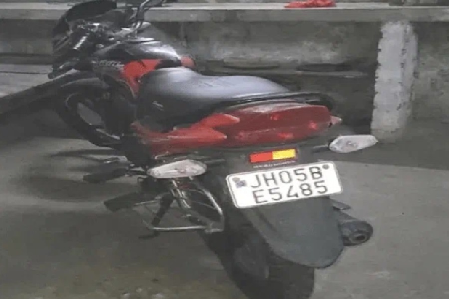 जोेेगदल.jpg