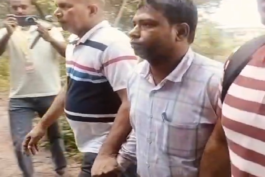 पगल्ोत.jpg