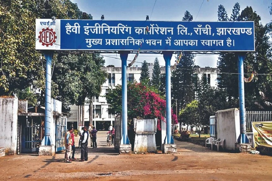 पाम1.jpg