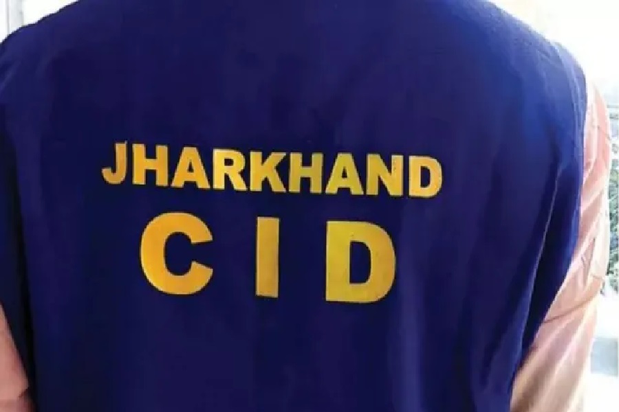 मग्2.jpg