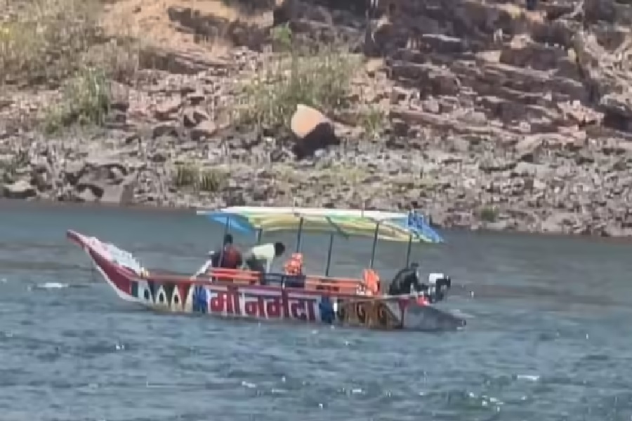 लोीसो्ो.jpg