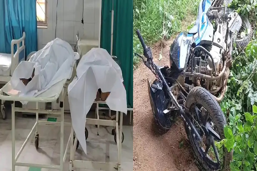 वगका5.jpg