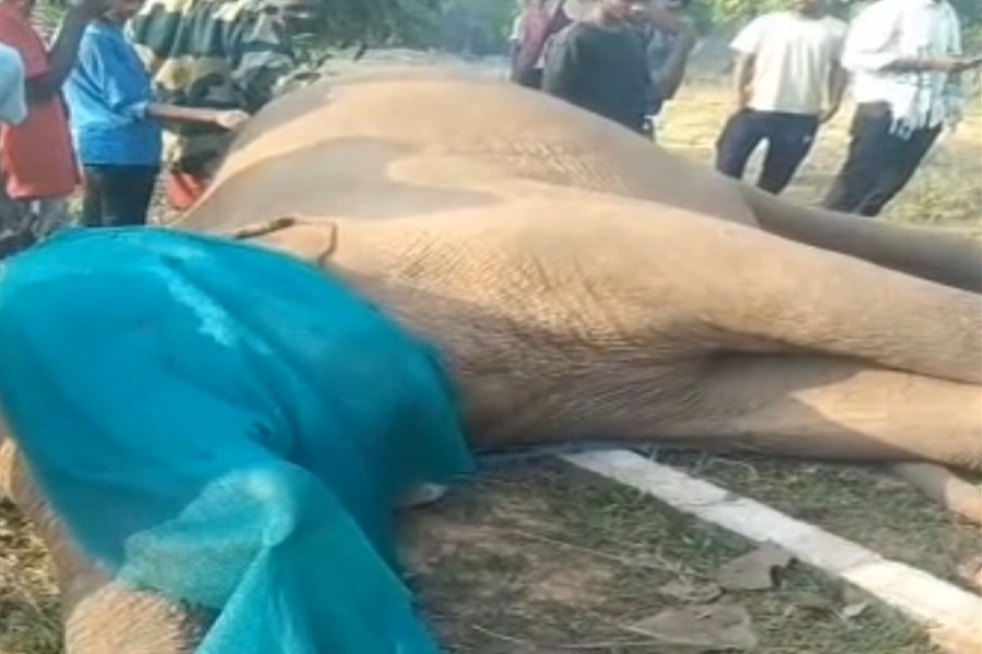 वतहा3.jpg