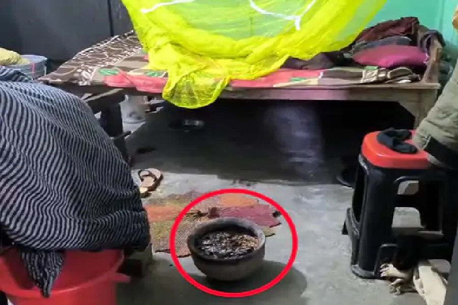 वदीेग.jpg