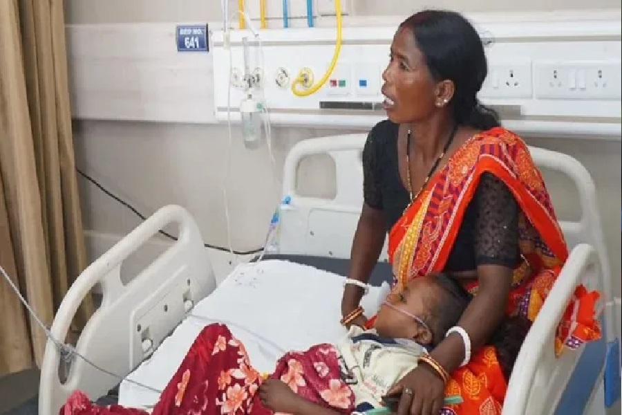 वीोगल.jpg