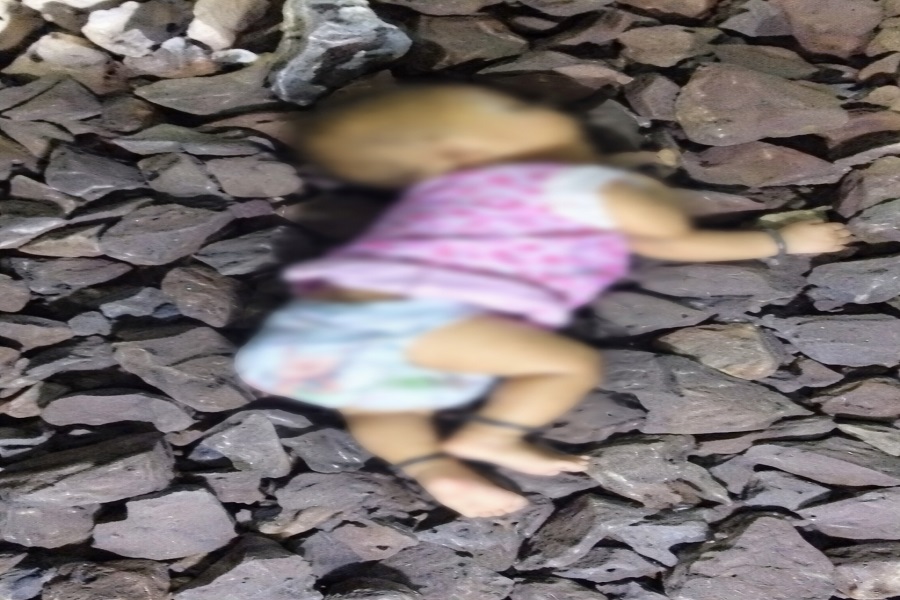 वोवब31.jpg