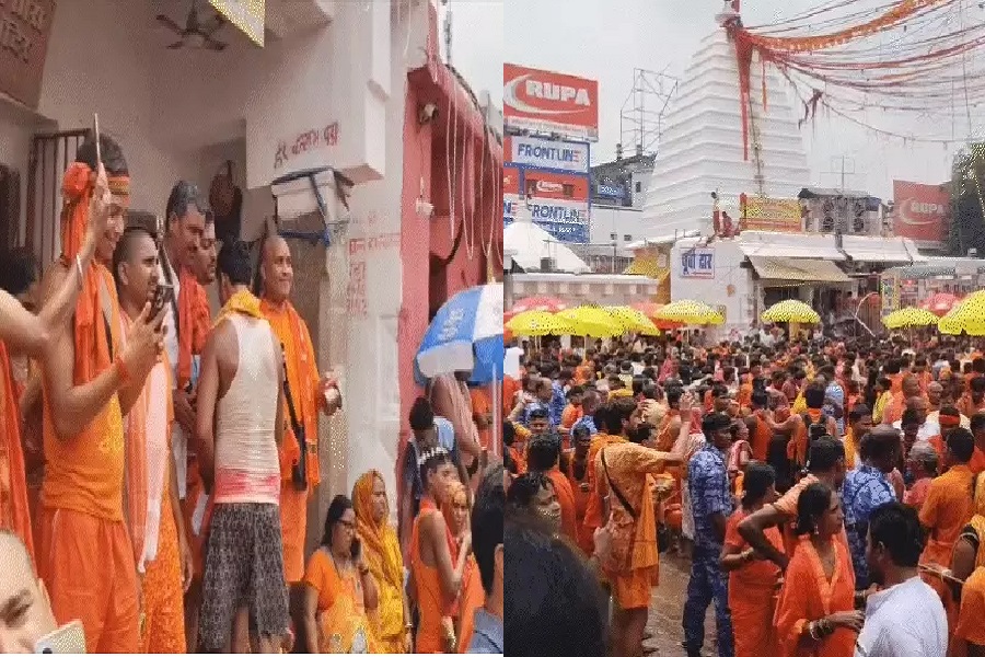 वोवो21.jpg