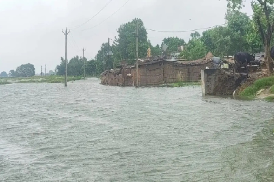 वो्प2.jpg