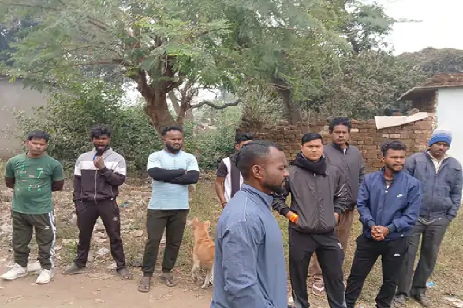 सासह.jpg