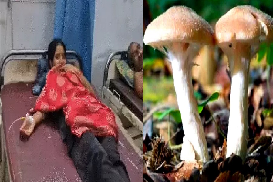 सोेपीददस1.jpg