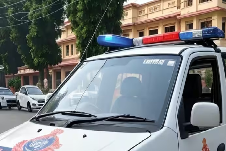 िगलो1.jpg