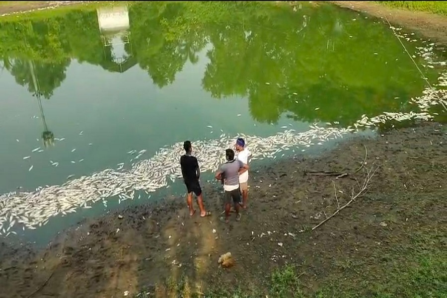 िगेप.jpg
