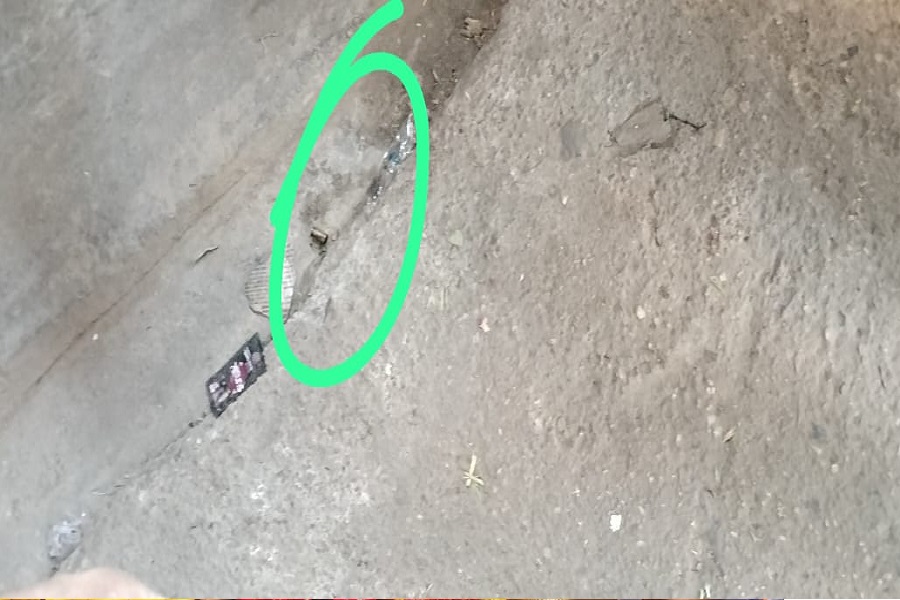 ुदतो21.jpg
