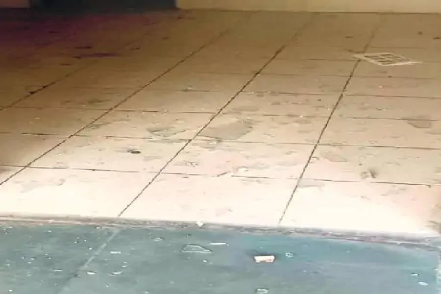 ेहूतग.jpg