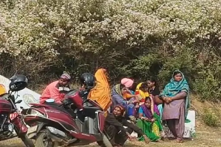 ेोलगू.jpg