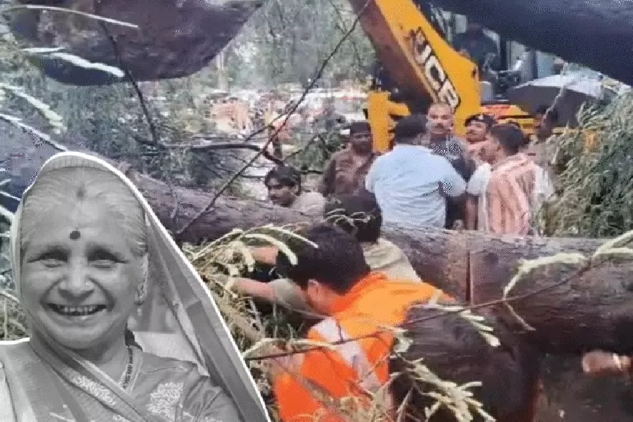 चलती कार पर पेड़ गिरा, डिप्टी-कलेक्टर की मां की मौत